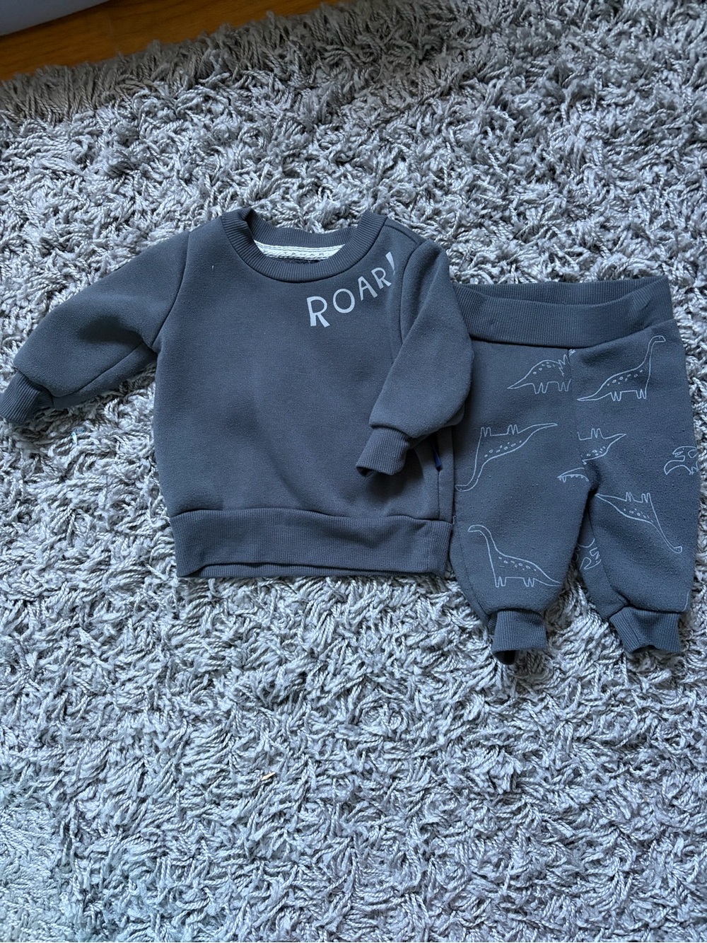Baby Crewneck Dinosaur Sweatshirt Outfit with White Lettering